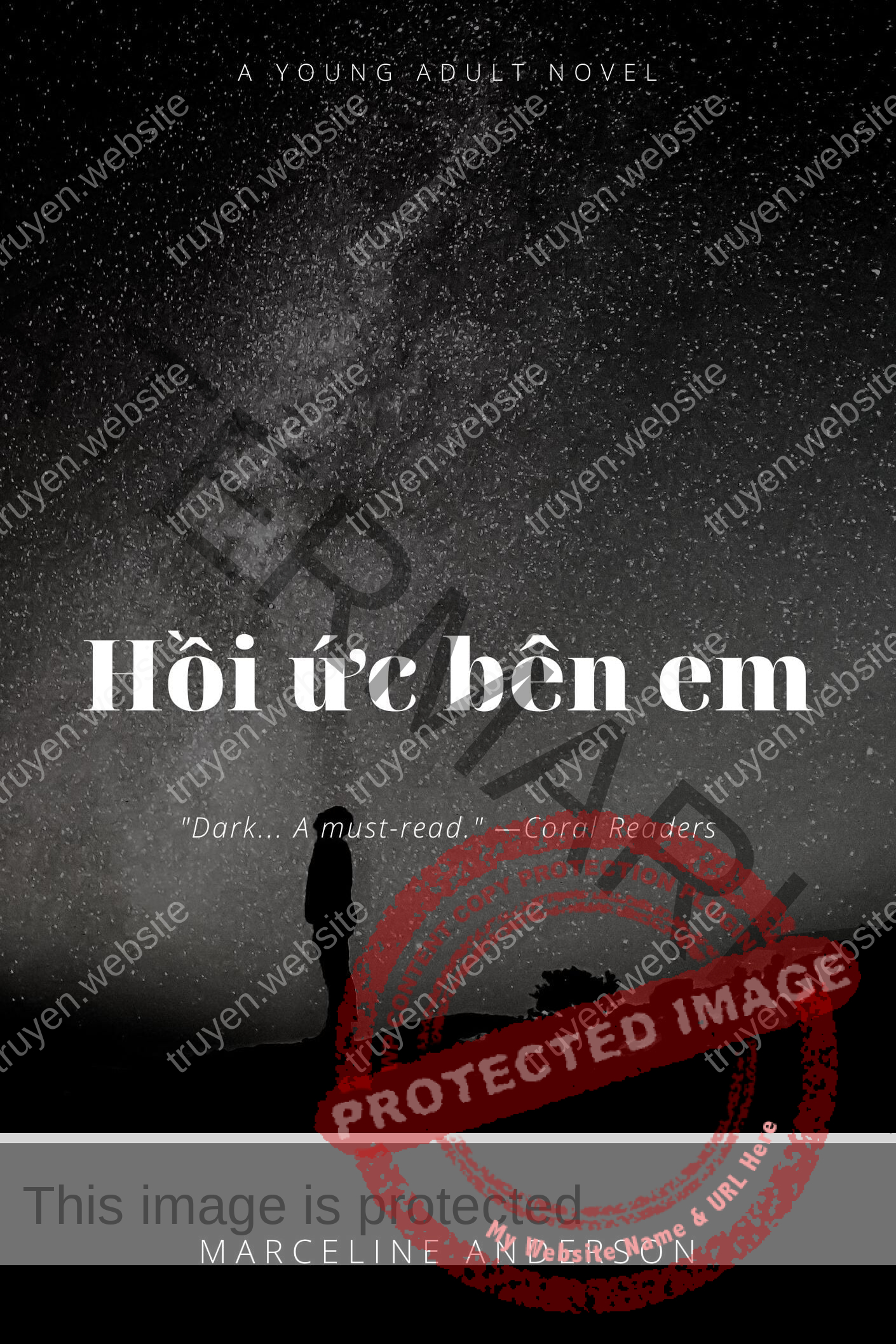 Hồi ức bên em